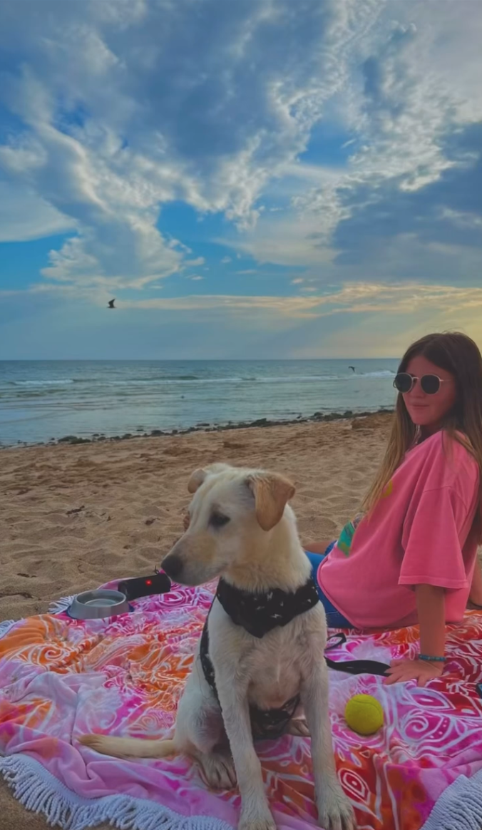 Dog and Person on Beach