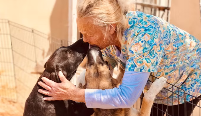 Dogs at Barb's Dog Rescue